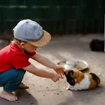 דירה Alte Schule 1 *