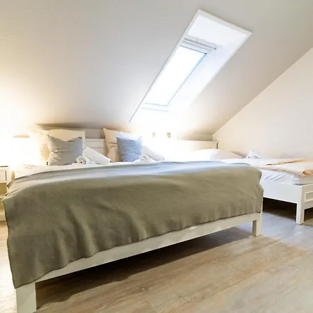 Apartament Alte Schule 1 *