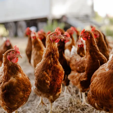 Alte Schule 1 * Staberdorf