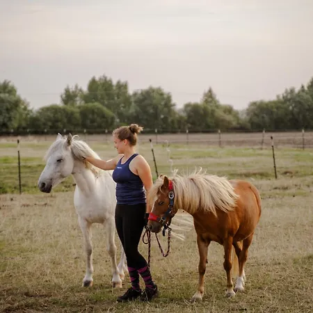 Апартаменты Alte Schule 1 *