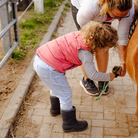 Alte Schule 1 Staberdorf