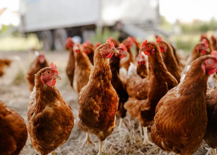 Alte Schule 1 * Staberdorf