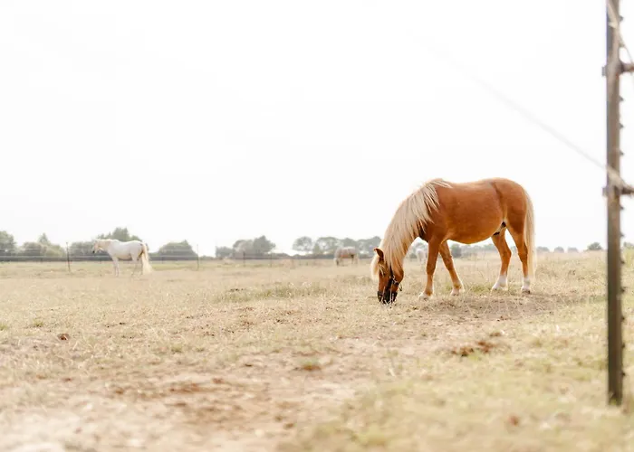 شقة Alte Schule 1