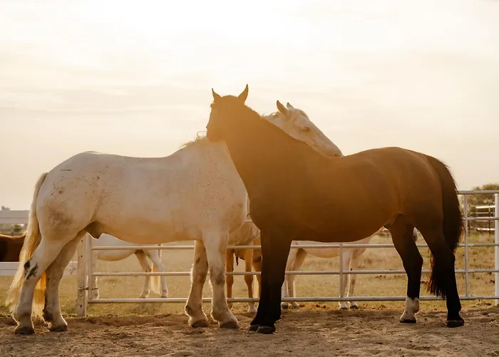 شقة Alte Schule 1 *