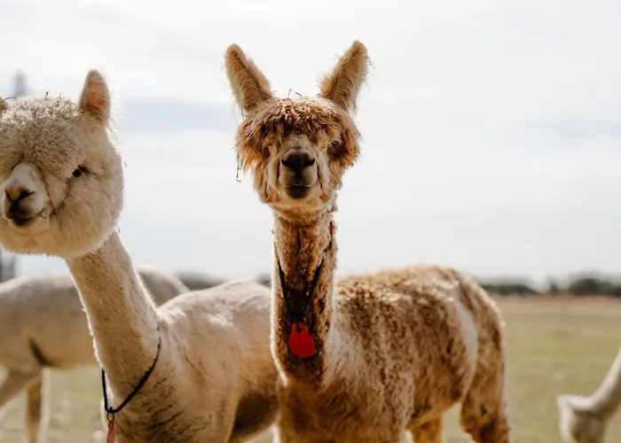 شقة Alte Schule 1 Staberdorf