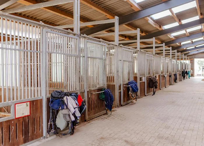 Alte Schule 1 شقة *