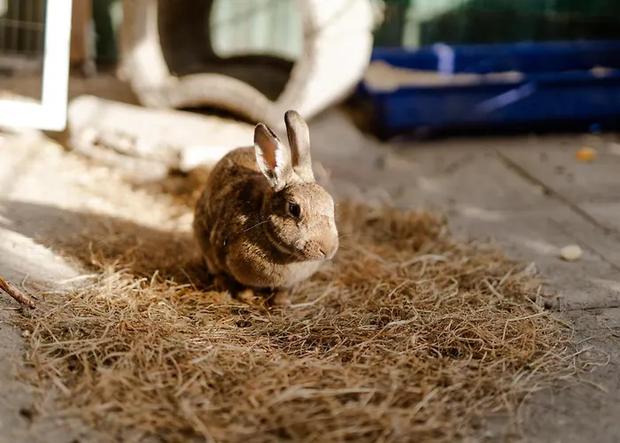 شقة Alte Schule 1 *