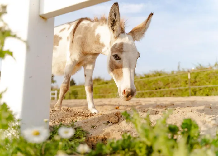 Alte Schule 1 شقة Staberdorf