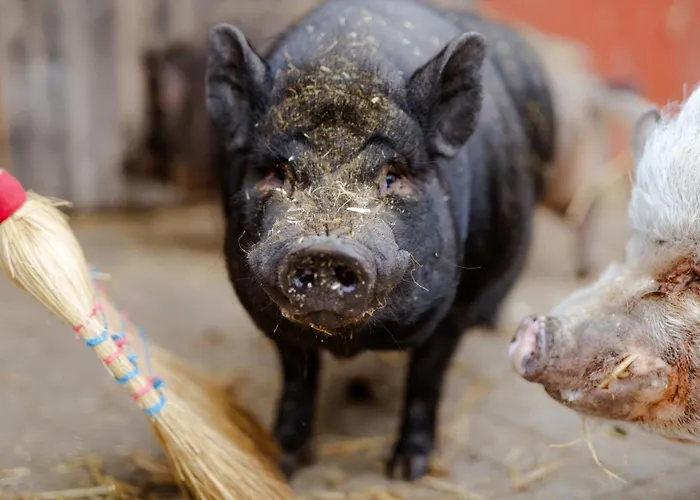 شقة Alte Schule 1 Staberdorf