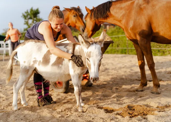 Alte Schule 1 Staberdorf
