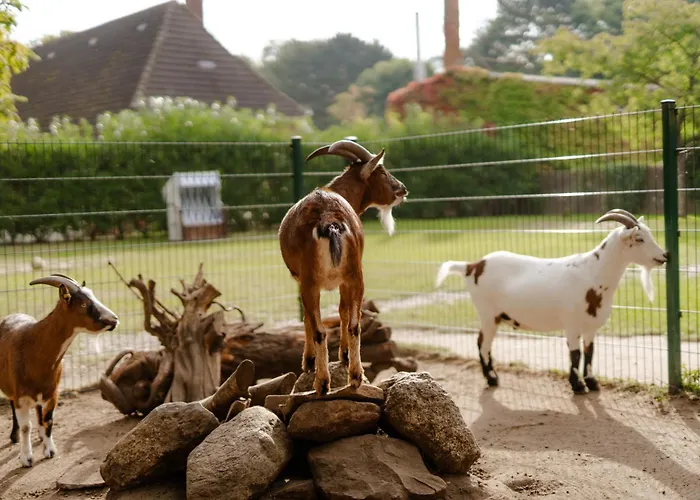 Alte Schule 1 شقة