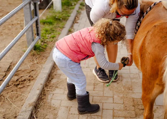 Alte Schule 1 Staberdorf